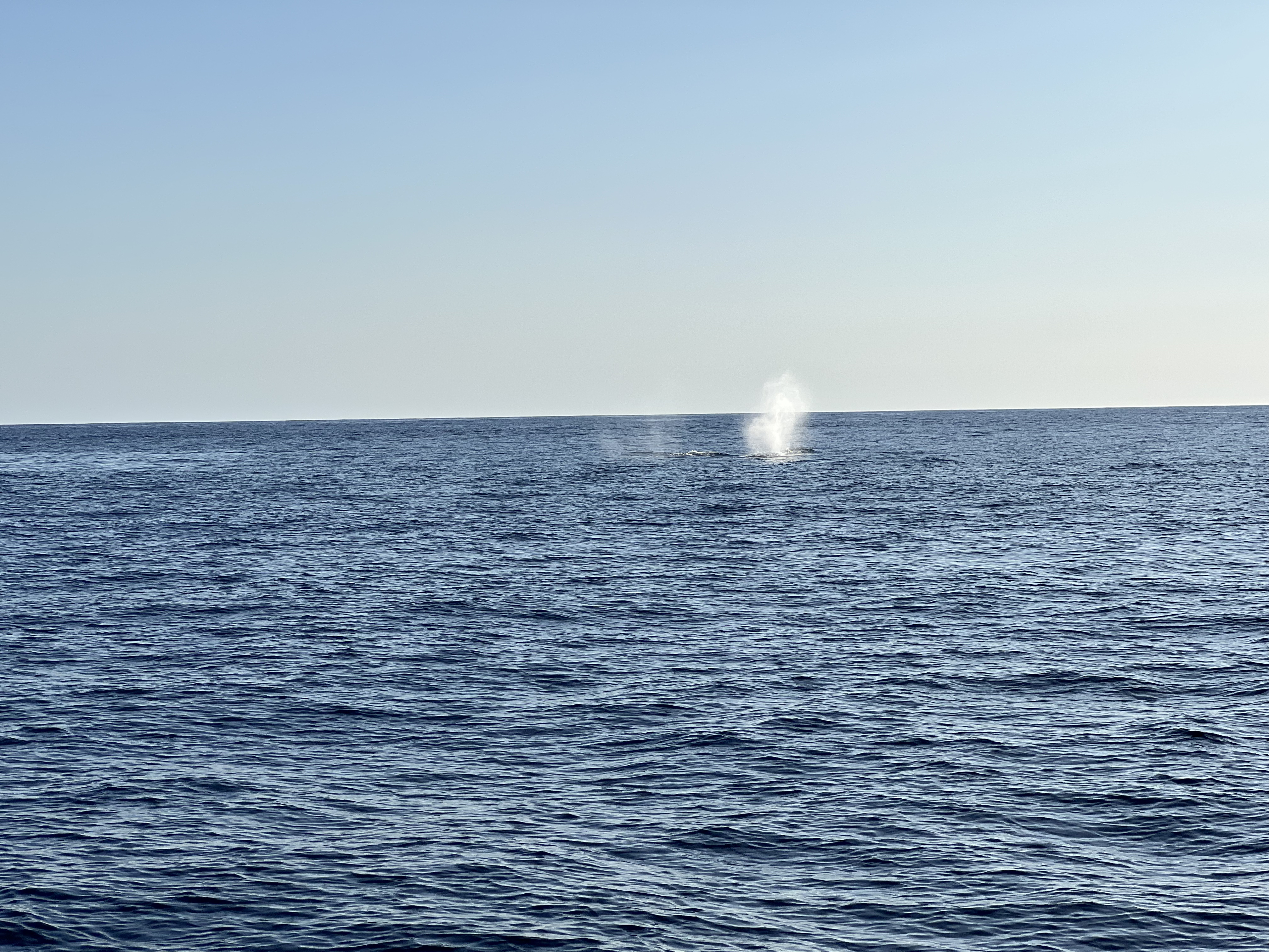 ./2024/13 - Cabo/IMG_4662.jpg